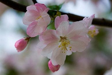 《死亡循环》9月20日登陆Xbox平台 首发加入XGP 